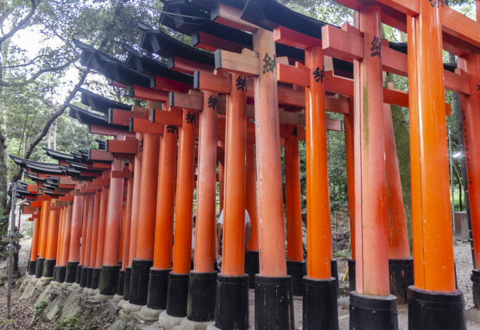 118 - Kyoto - santuario de Fushimi Inari-Taisha